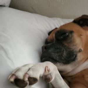 Meet your Posher, Diana